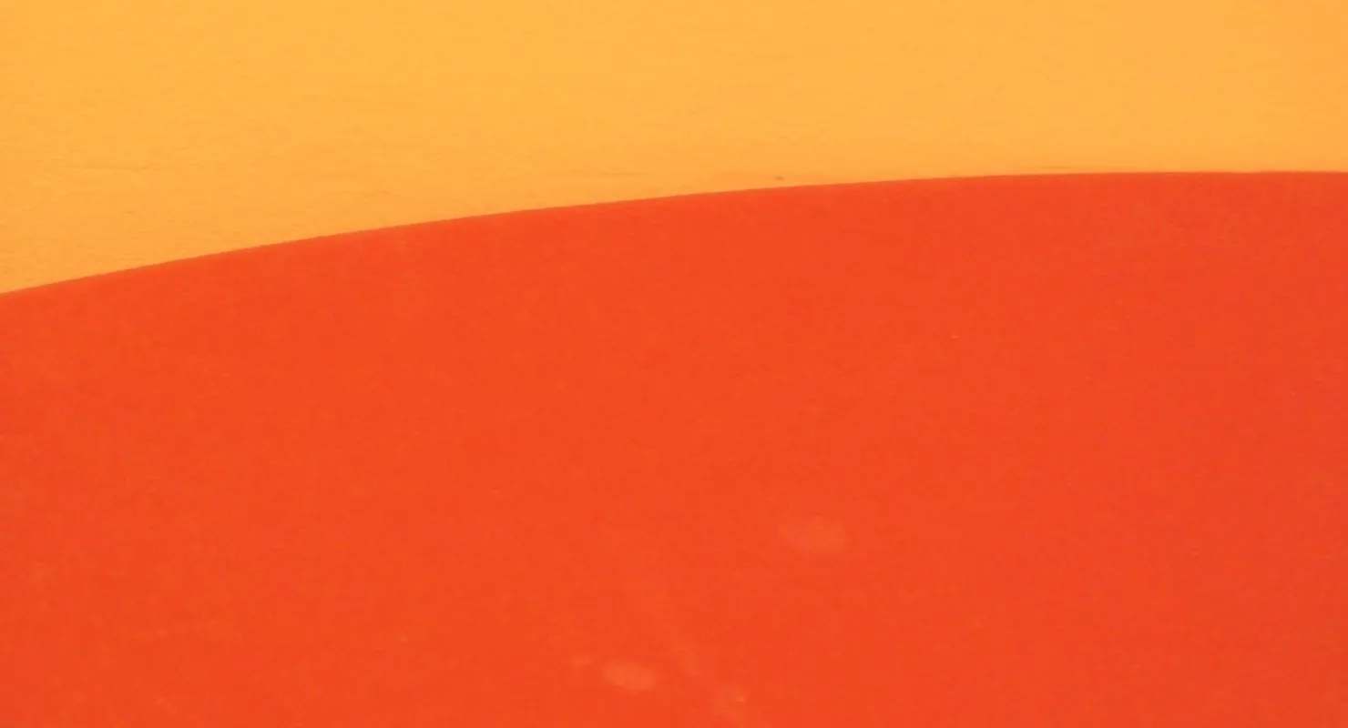 The Magic of the 80 20 Rule: How to Achieve More with Less Effort