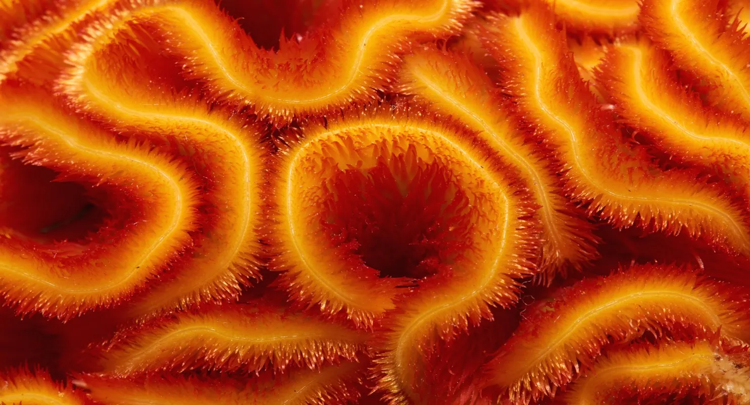 8 of the best AI applications for business