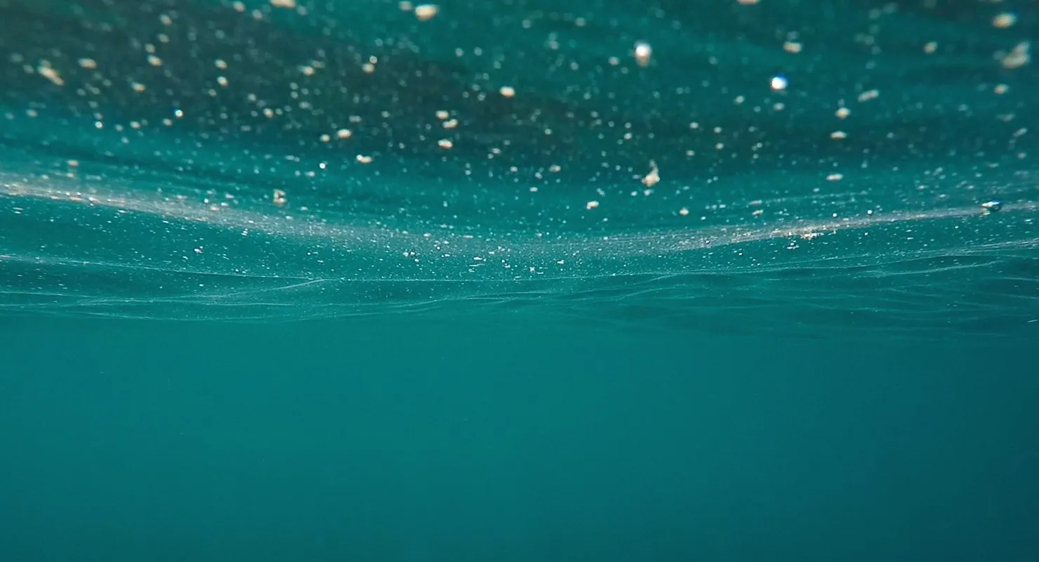 The Flow State Formula: How to Enter the Zone and Stay There