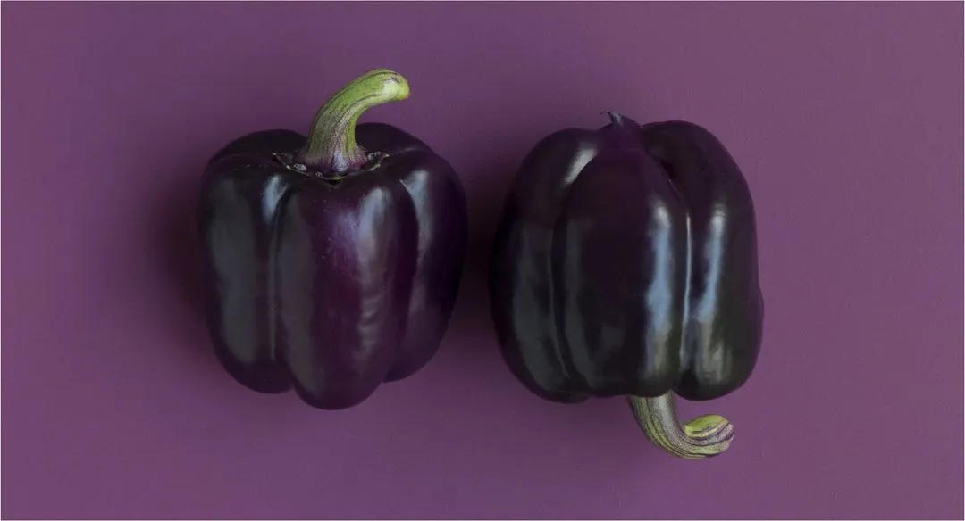 Mental health sick days: should they be standard policy?