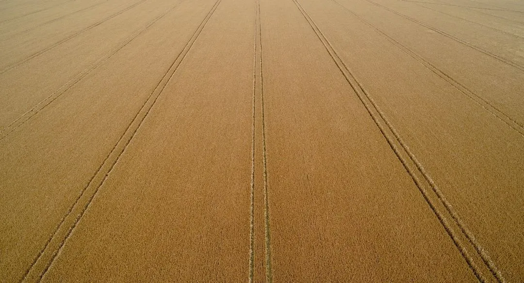 Keeping Time in a Virtual World: Remote Employee Time Tracking