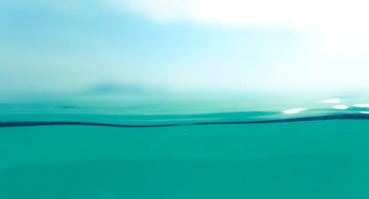 How much “shallow work” do you perform?