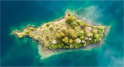 Time tracking for remote employees