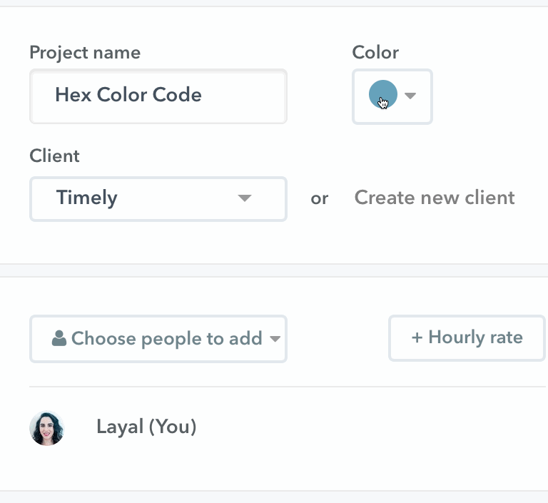 Entering a hex color code