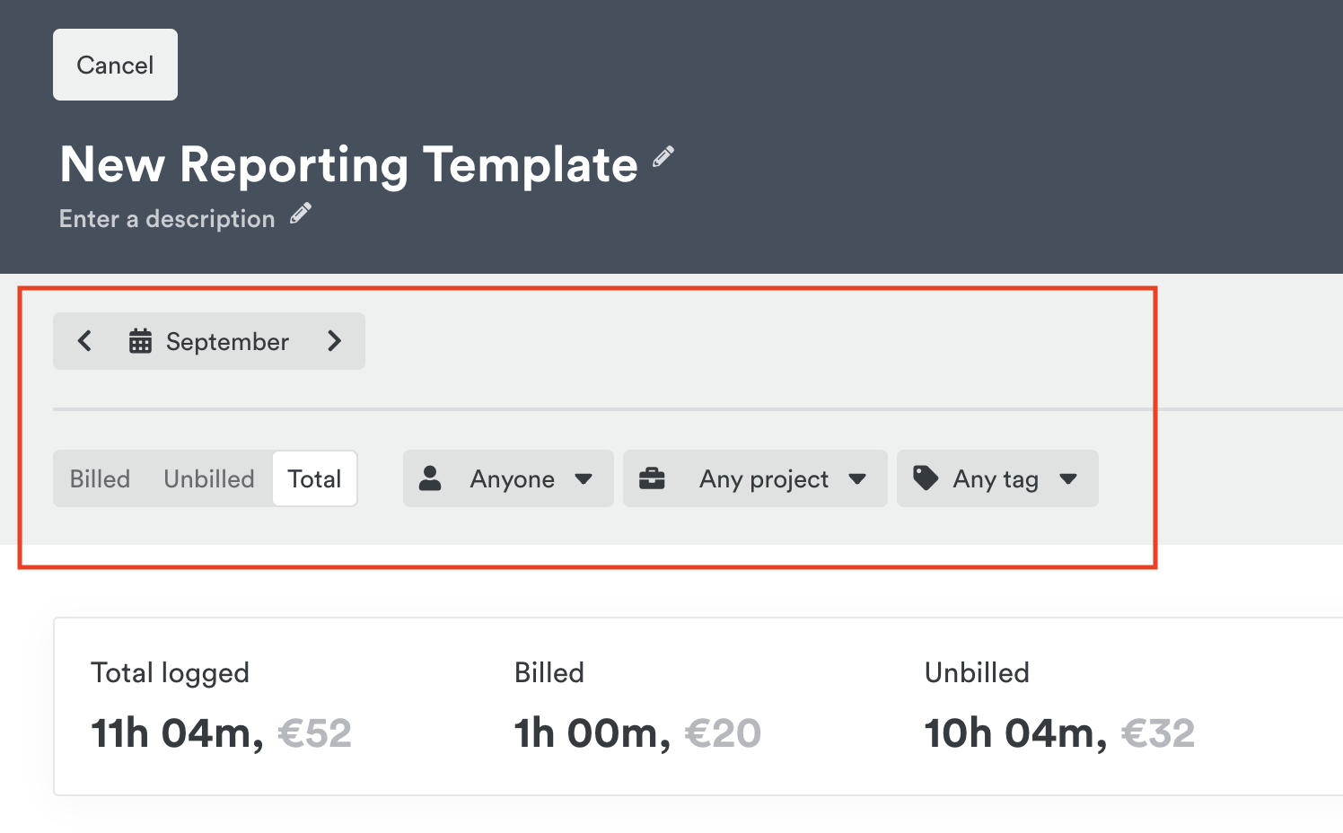 Report filter inputs