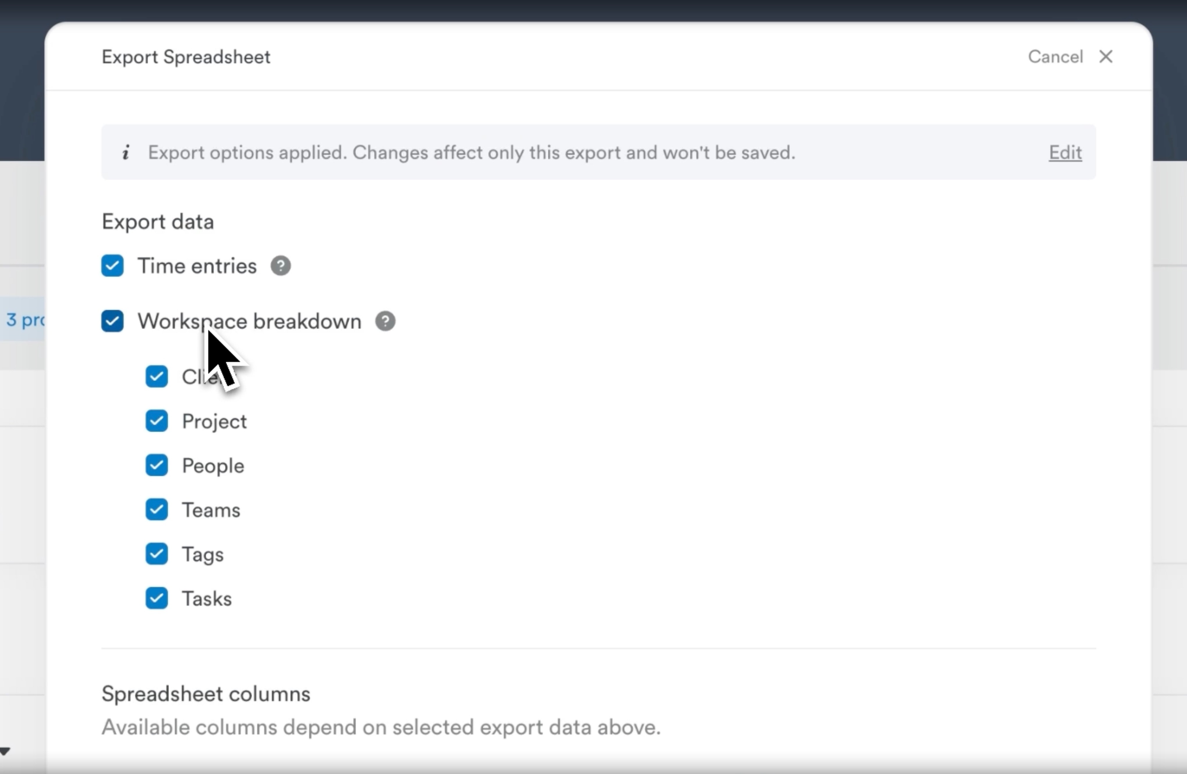 Spreadsheet export options